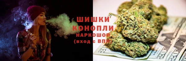 крисы Бронницы