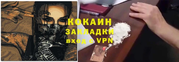 крисы Бронницы