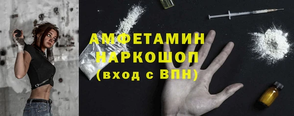 крисы Бронницы