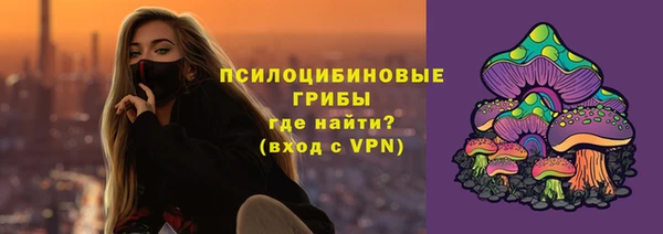 мдпв Бугульма