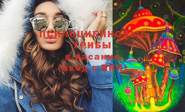 крисы Бронницы