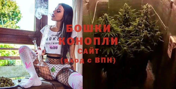 мдпв Бугульма
