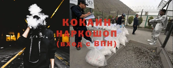 крисы Туринск